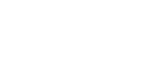 liflay logo flat white